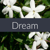 Dream Essential Oil Blend