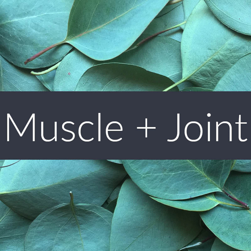 Muscle + Joint Essential Oil Blend Finesse Home