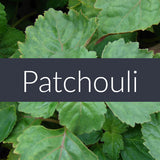 Patchouli Essential Oil