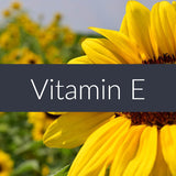 Vitamin E Professional Massage Oil