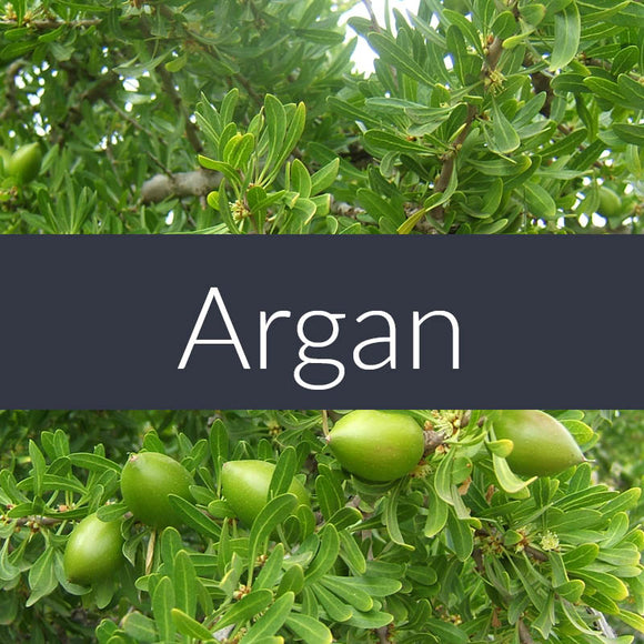 Argan Oil  CURRENTLY SOLD OUT