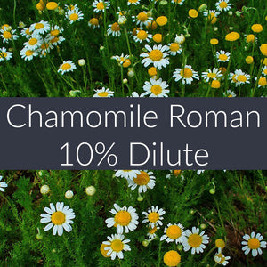Chamomile Roman 10% Essential Oil