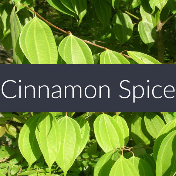 Cinnamon Spice EcoSoy Wax Tarts