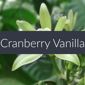 Cranberry Vanilla Fragrance Oil