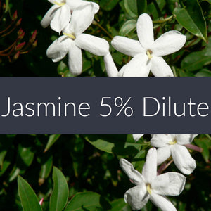 Jasmine 5% Essential Oil