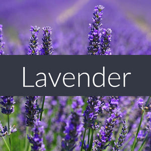 Lavender EcoSoy Wax Tarts