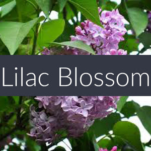 Lilac Blossom Fragrance Oil