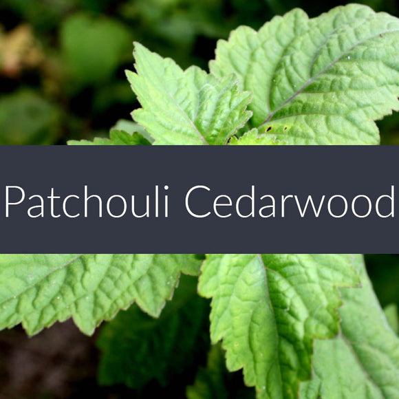 Patchouli Cedarwood Fragrance Oil ON SALE 40% OFF