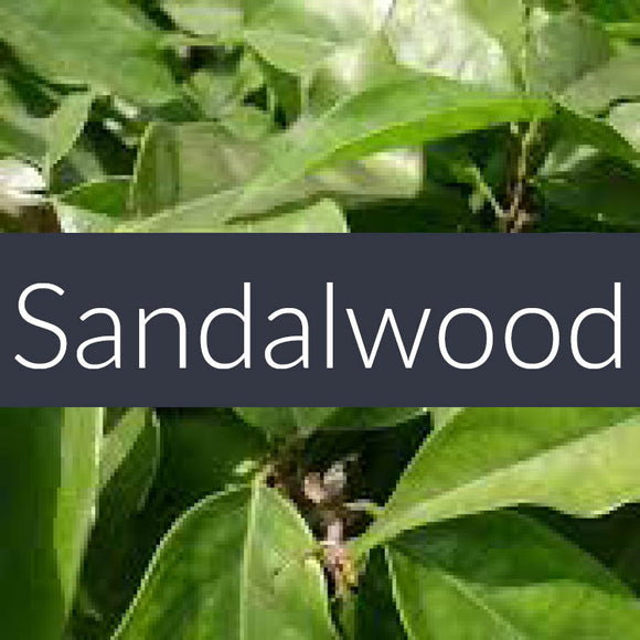 Sandalwood Absolute Essential Oil