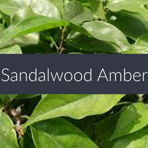 Sandalwood Amber Fragrance Oil