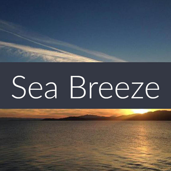 Sea Breeze EcoSoy Wax Tarts