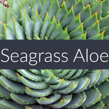 Seagrass Aloe Finesse Crystals