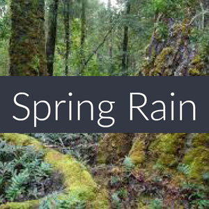 Spring Rain EcoSoy Wax Tarts