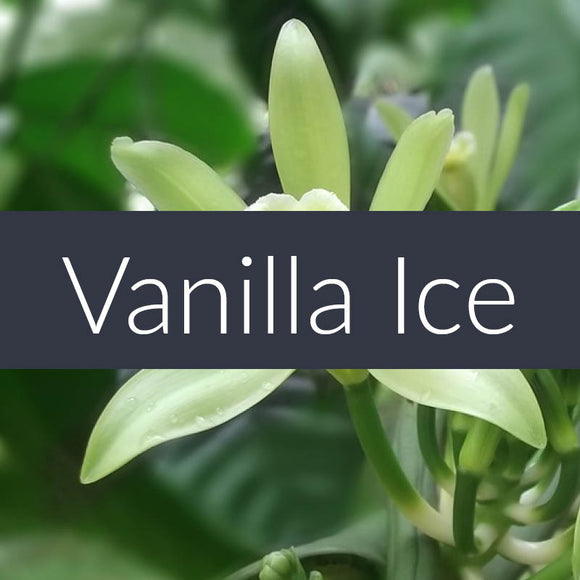 Vanilla Ice EcoSoy Wax Tarts
