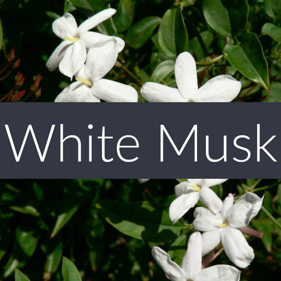 White Musk EcoSoy Wax Tarts